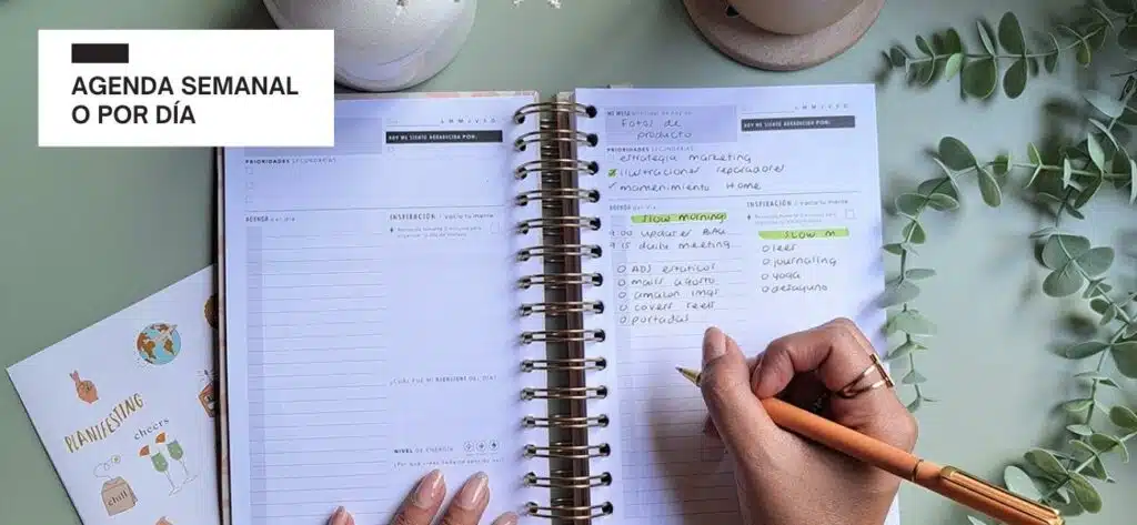 Agenda semanal o agenda por día