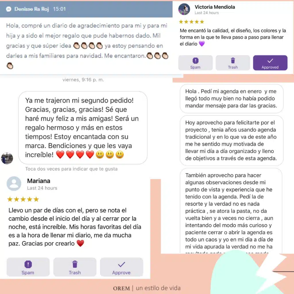 Reviews de compradoras de diario de agradecimiento